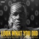 Look What You Did feat Sonny Miles Single