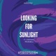 Looking for Sunlight feat Stephano Prunebelli Single