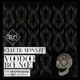 Voodoo Bounce The Deepshakerz and Mr V Remixes Single