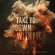 Take You Down with Me Single
