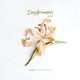 Tabiat Ambient Version Single