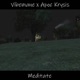 Meditate feat Apoc Krysis Single