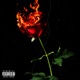 Dead Roses Single