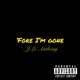 Fore I m Gone Single