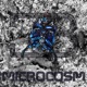 Microcosm Single