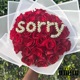 Sorry Single