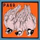 Papagei Single