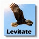 Levitate Single