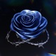 Blue Rose feat Taeh Single