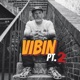 VIBIN Pt 2 Single