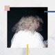 Bird of Paradise Faultline Remix Single