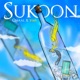 Sukoon Single