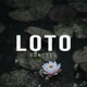 Loto Single
