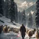 Kashmir 2 Single
