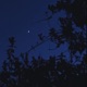 Moonlight Single
