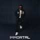 Immortal C Version