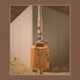 Bills Tax feat Domo Gorille Single