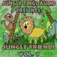 Jungle Friends Vol 1 Lp feat Xian Juan Smurf DJ QT Brockout Kool Aid Kemist Epicentre Sum Hakka Dr ROBERTS DJ Caution Sola