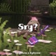 Sry Single