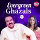 Evergreen Ghazals Vol 2