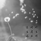 조미미 도롯도 나드리