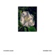 Goodbye Again feat Twanner Single