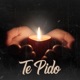 Te Pido Single