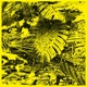 WAR2101 Single