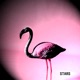 Stars Remix Single