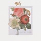 Hold Me Close feat high on you Single
