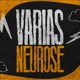 Varias Neurose Single