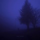 cold nights Single