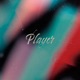 Player Single