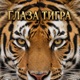 Глаза тигра Single