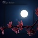 Midnight Promises Single