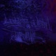 Turbulence Single
