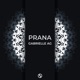 Prana Single