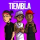 Tiembla Single