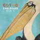 Pelicans We EP