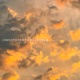 Omnipotent Freestyle Single
