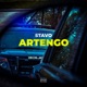 Artengo Single