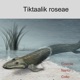Tiktaalik Single