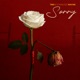 Sorry Single