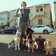 Get a Dog Single