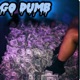 Go Dumb feat SantanaWildin Summer Version Single