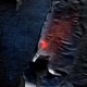 Trackpad Single