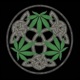 Holy Weed feat CP80 Single