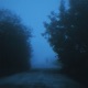 reverie Single