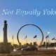 Not equally Yoked feat M E R C Radio Edit Single