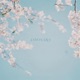 SAYONARA Single